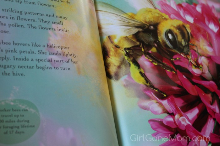 Bee Life (Books to Fill Preschoolers' Easter Baskets)