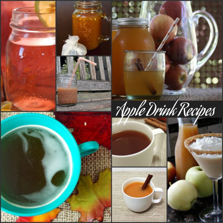 Homemade apple drink recipes PLUS 150 apple recipes in every meal category