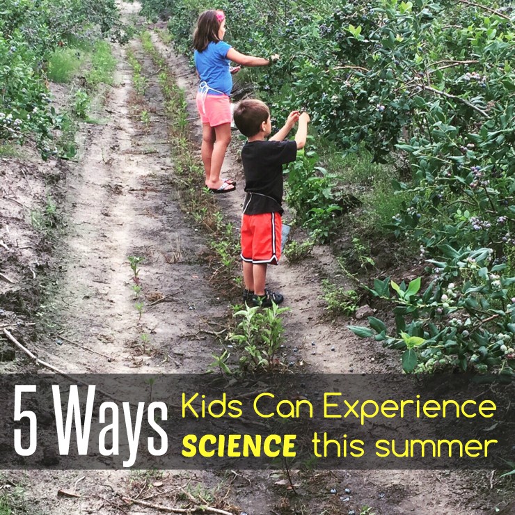 5 Ways Kids Can Experience SCIENCE This Summer