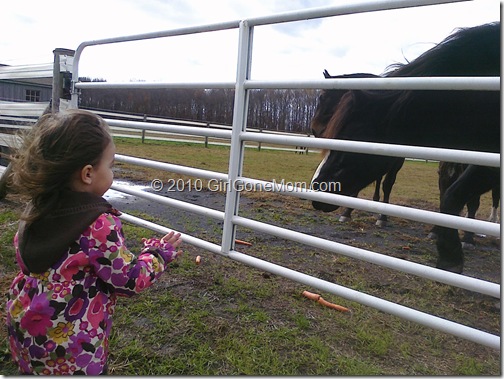 Wordless Wednesday: Healthy as a horse