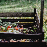 How to Start Composting: An Easy Way to Go Green