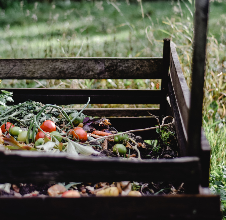How to start composting
