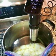 Sous Vide Cooking with Anova Precision® Cooker Pro